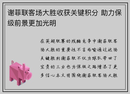 谢菲联客场大胜收获关键积分 助力保级前景更加光明